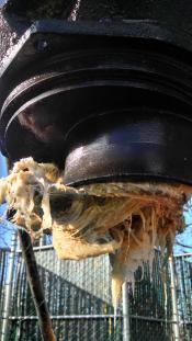 img_20150116_131059_928_2